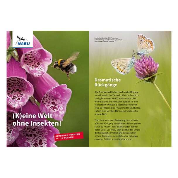 Faltblatt "(K)eine Welt ohne Insekten!" - Insekten-Patenschaft (Digital)
