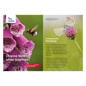 Faltblatt "(K)eine Welt ohne Insekten!" - Insekten-Patenschaft