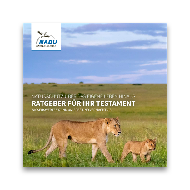 Broschüre "Ratgeber für Ihr Testament" - Wissenswertes rund um Erbe und Vermächtnis (Digital)
