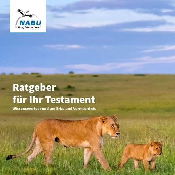 Broschüre "Ratgeber für Ihr Testament" - Wissenswertes rund um Erbe und Vermächtnis