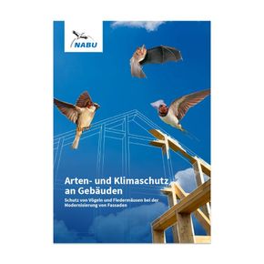 Broschüre Arten- und Klimaschutz an Gebäuden