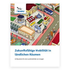 Zukunftsfähige Mobilität - Set aus Broschüre + Poster A0 (Digital)
