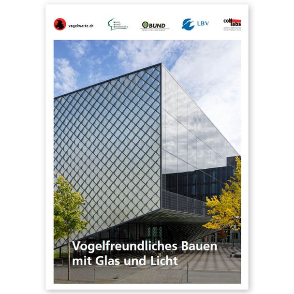 Broschüre "Vogelfreundliches Bauen mit Glas & Licht"