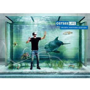 Postkarte "OstseeLife"