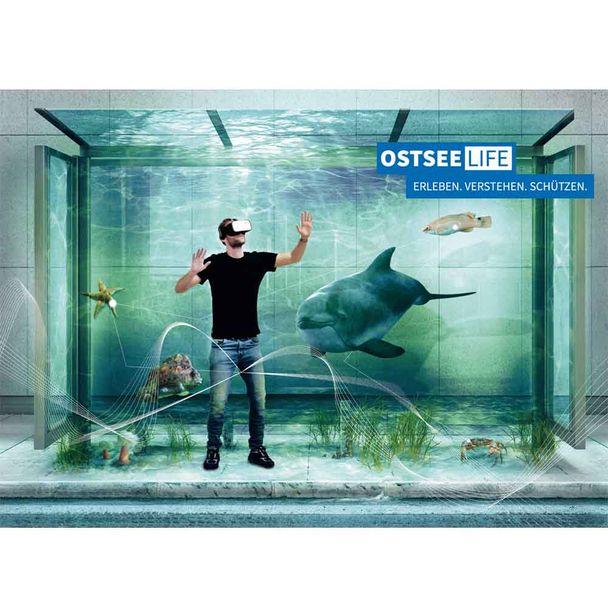 Postkarte "OstseeLife"