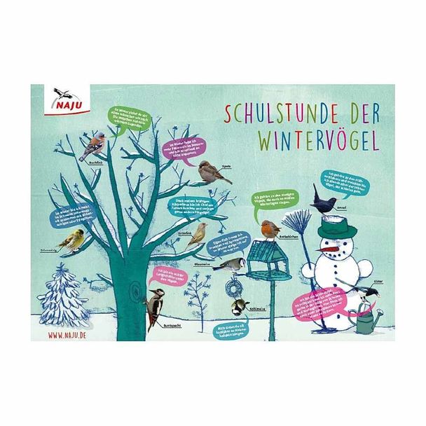 Schulstunde der Wintervögel: Poster (Digital)
