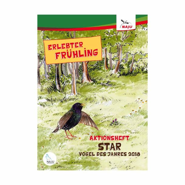 Aktionsheft Star (Digital)