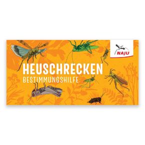 Heuschreckenbestimmungshilfe
