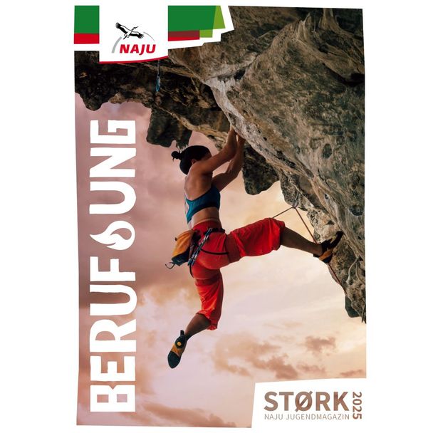 Jugendmagazin STØRK: Beruf_ung (Digital)