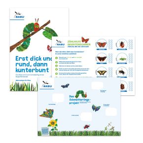 Aktionspaket Kitas zu Insekten
