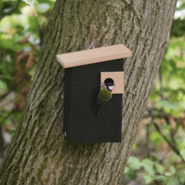 Nistkasten Alura „Opal“ 32 mm, schwarz