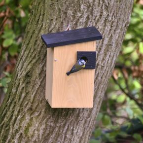 Nistkasten Alura „Opal“ 32 mm, natur
