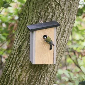 Nistkasten Alura „Onyx“ 32 mm, grau