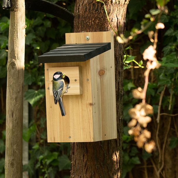 Nistkasten Kolding, 32 mm