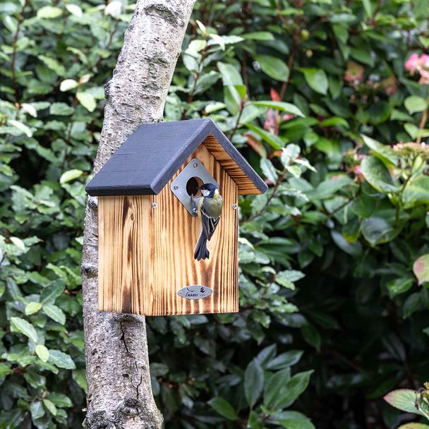 Nistkasten Protector „El Paso“ 34 mm