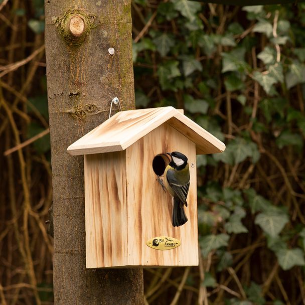 Nistkasten Anson, 34 mm