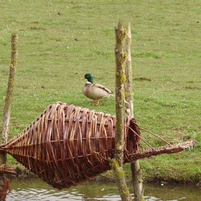 Enten-Nistkorb aus Weide mit Landungsplattform