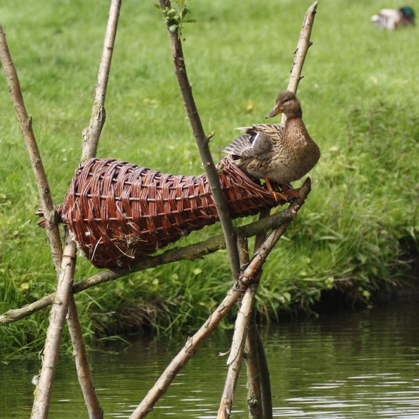 Enten-Nistkorb aus Weide