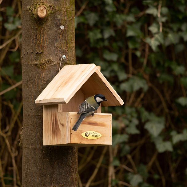 Nistkasten Alton, halboffen