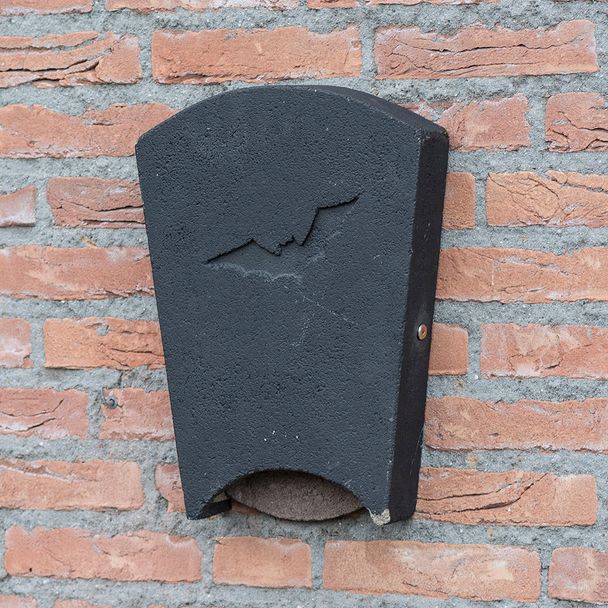 Fledermauskasten Beaumaris, groß