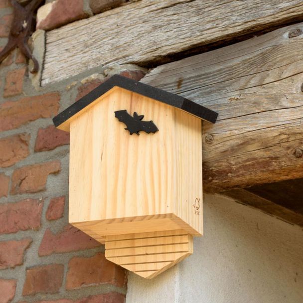 Fledermauskasten Arundel