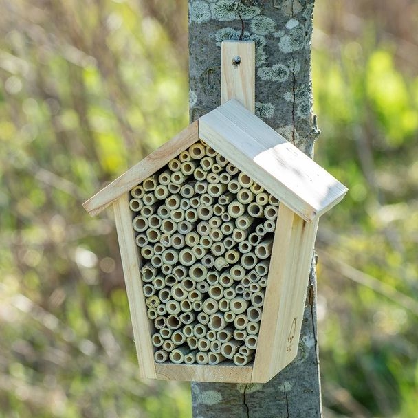 Wildbienenhotel Pinta