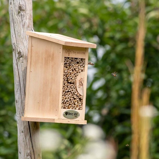 Wildbienenhotel Fernandina