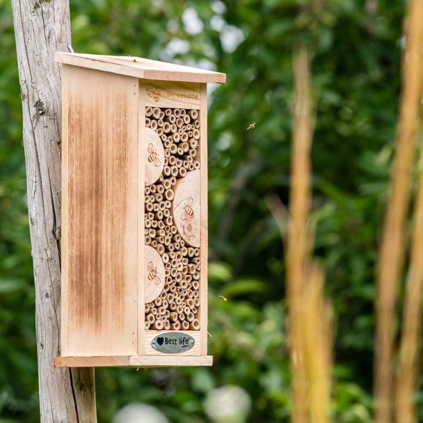 Wildbienenhotel Floreana