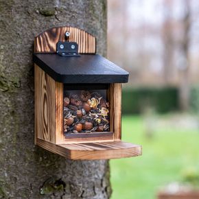 Eichhörnchen-Futterautomat „Victoria“